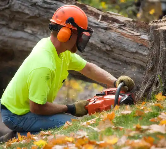 tree services Lemay